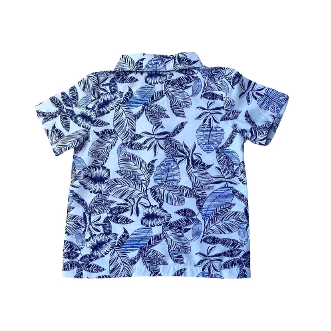Blue Palms Collared Shirt